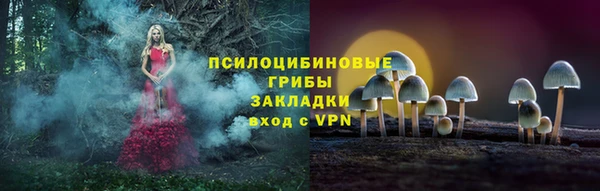 синтетический гашиш Алексин