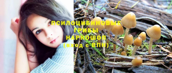 синтетический гашиш Алексин