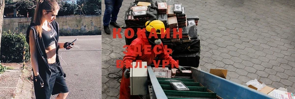 стаф Армянск