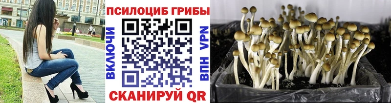 Псилоцибиновые грибы Magic Shrooms  Темрюк 